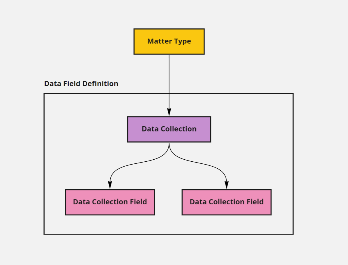 Data Field Definition